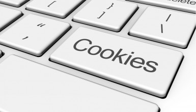 Çerez (Cookie) Kullanımı